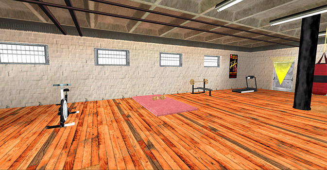 El Gimnasio