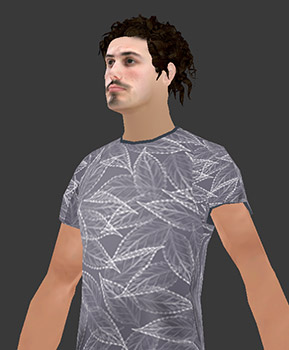 foto del modelo 3D de Gonna In The Hall con fondo gris